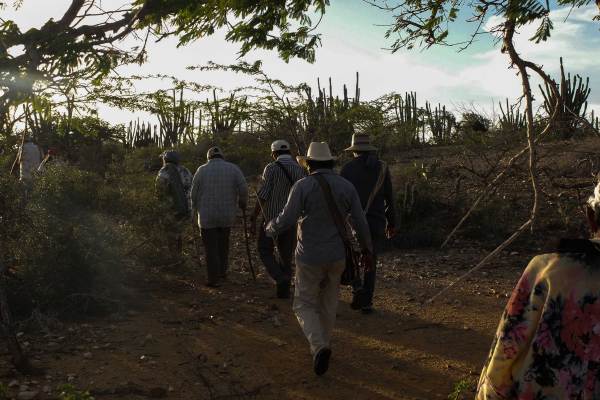 A group of people wearing hats and carrying bags walk along a dusty, sunlit path through a dry, desert-like landscape with cacti and scattered trees.